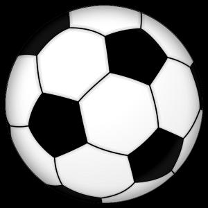 soccerball031008.JPG