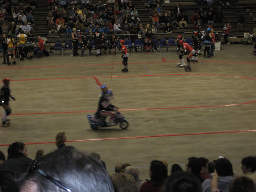 IMG_1146.jpg